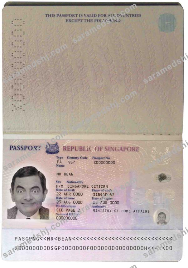 Singapore pass (2006-2017)